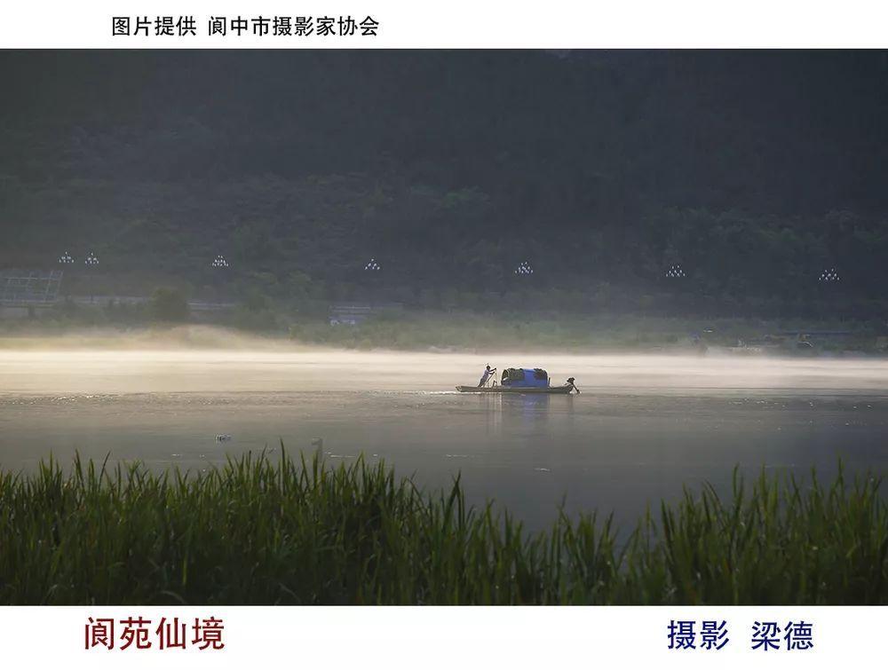 对抗内耗,什么是真正要去做的事?|50元起低价心理服务