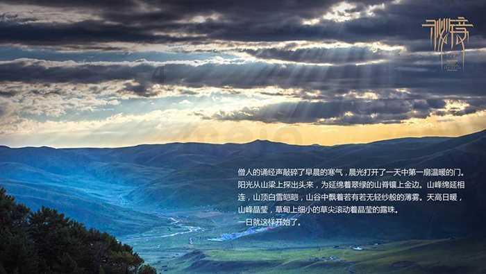 桂平建筑业联合会成立