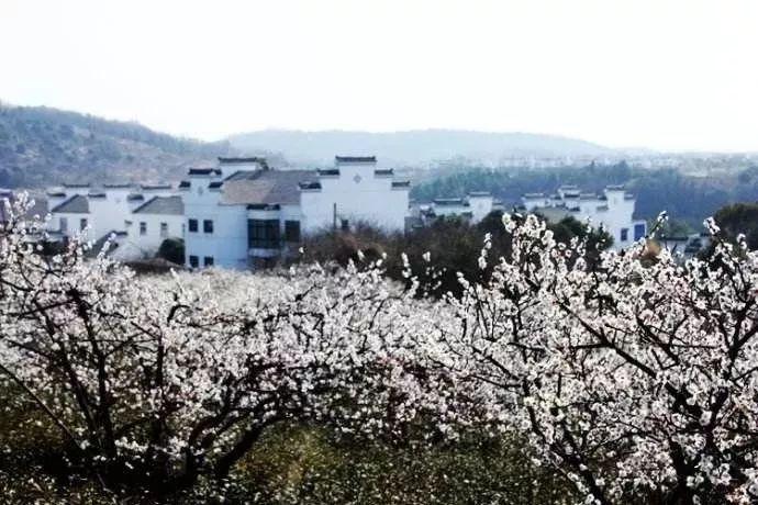 怎么做，才能更有效的保养自己？游戏画面
