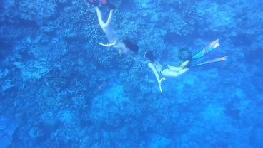 青春礼记