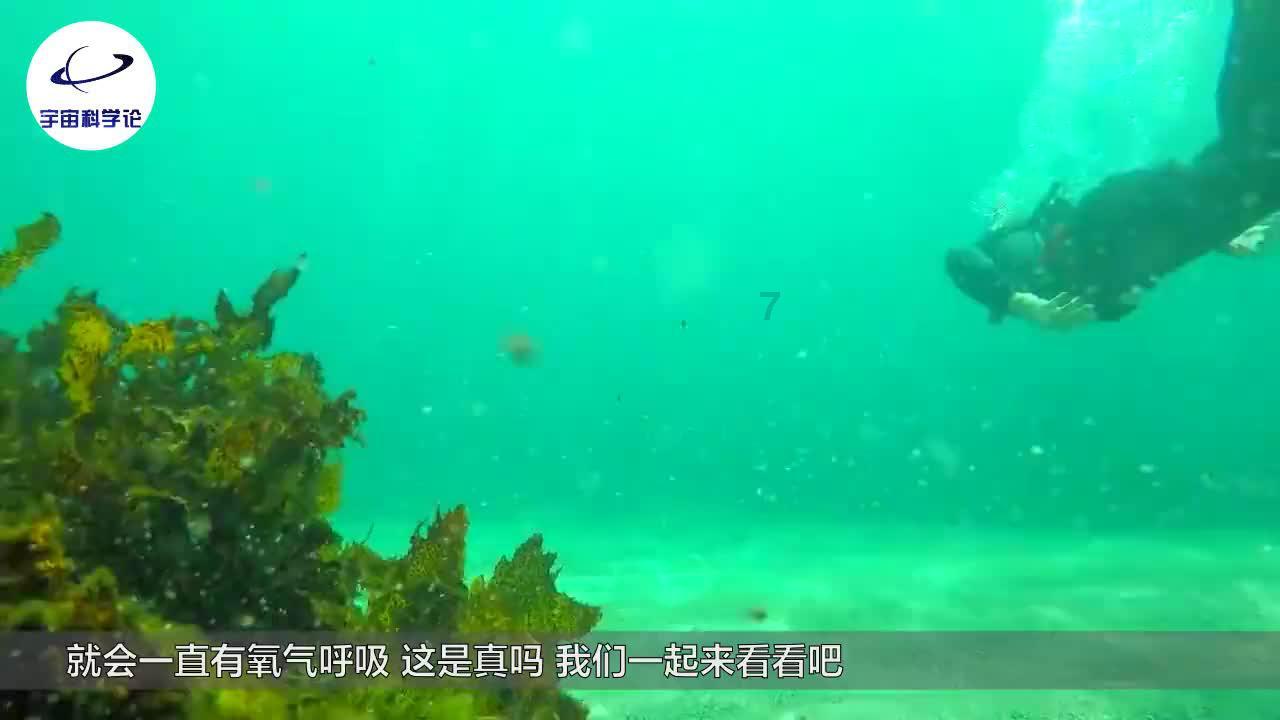 半条命：恐惧之泣