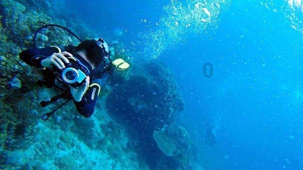 感动!台湾女孩凭“清朝地址”找到祖先家乡,感叹两岸真是一家人
