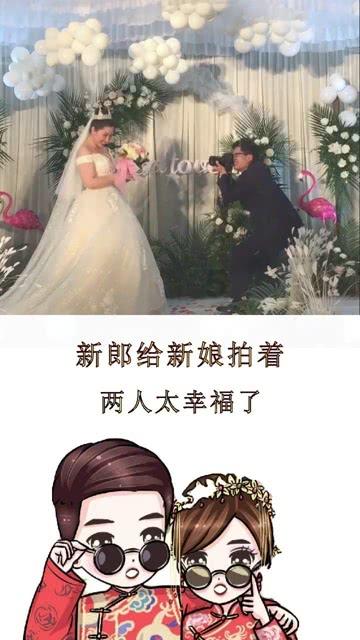 猫鼬大逃脱