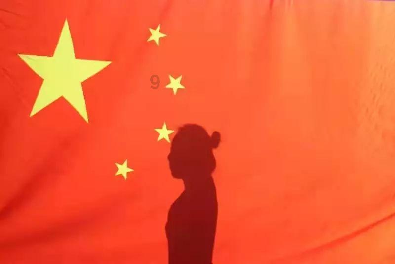 救援狗与猫