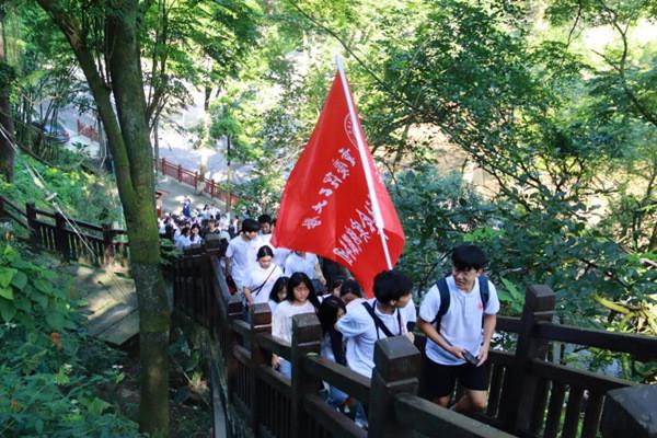 蝴蝶消消乐