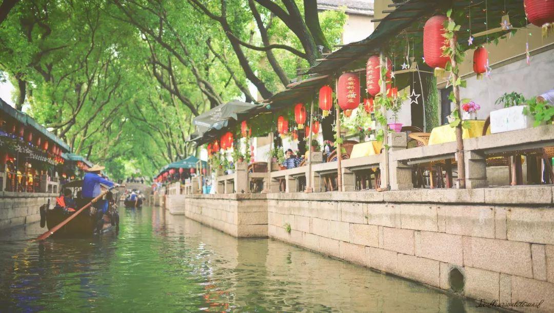 植物大战僵尸17